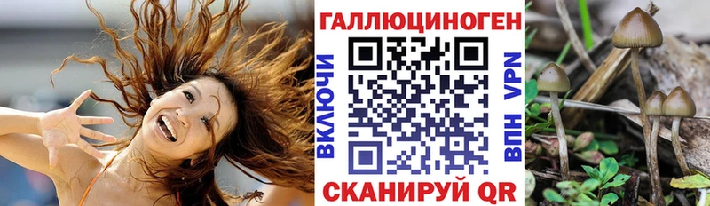 Купить закладки  Жуков  Галлюциногенные грибы GOLDEN TEACHER 