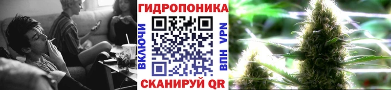 МАРИХУАНА сатива  Купить где  Жуков 